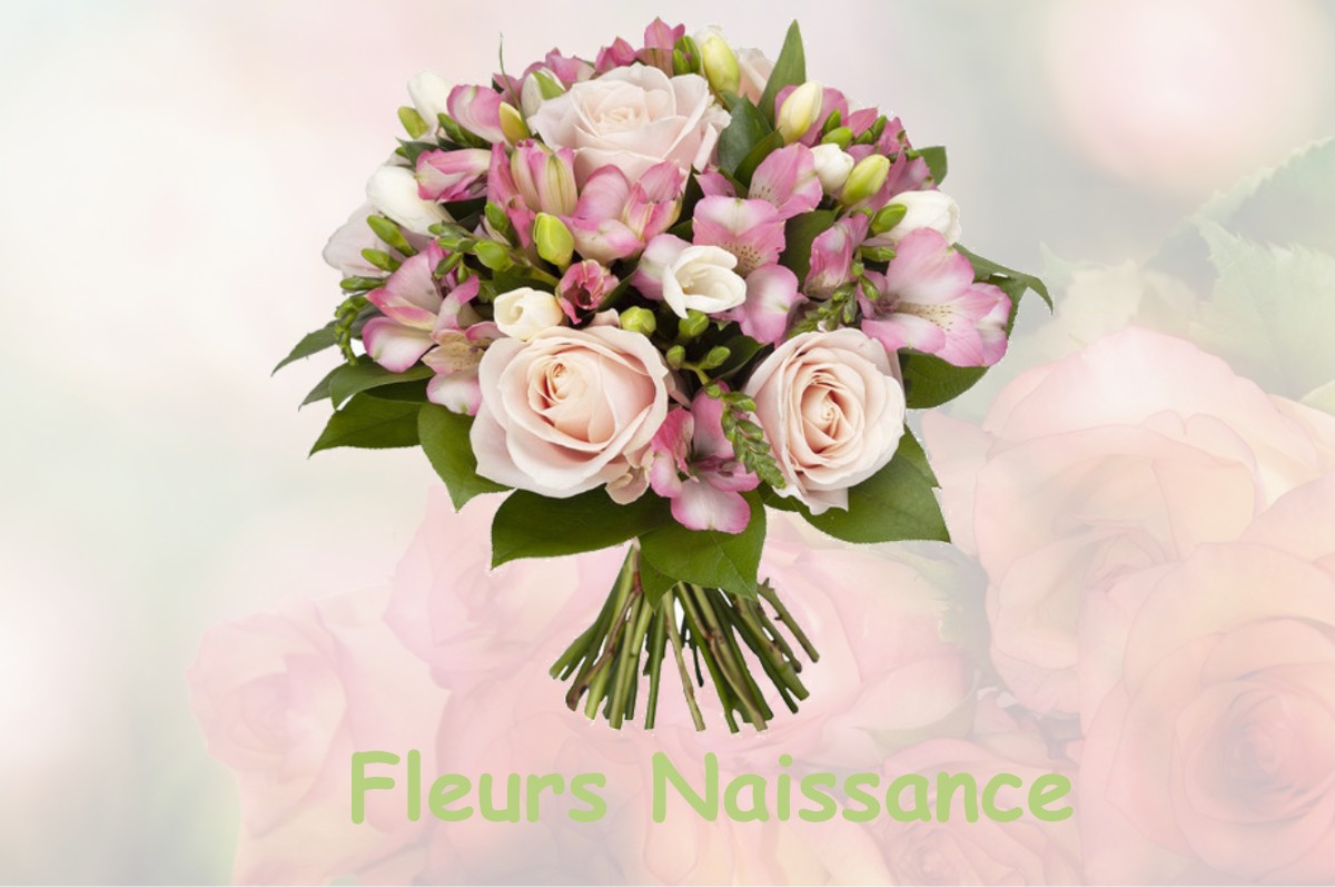 fleurs naissance BURCIN