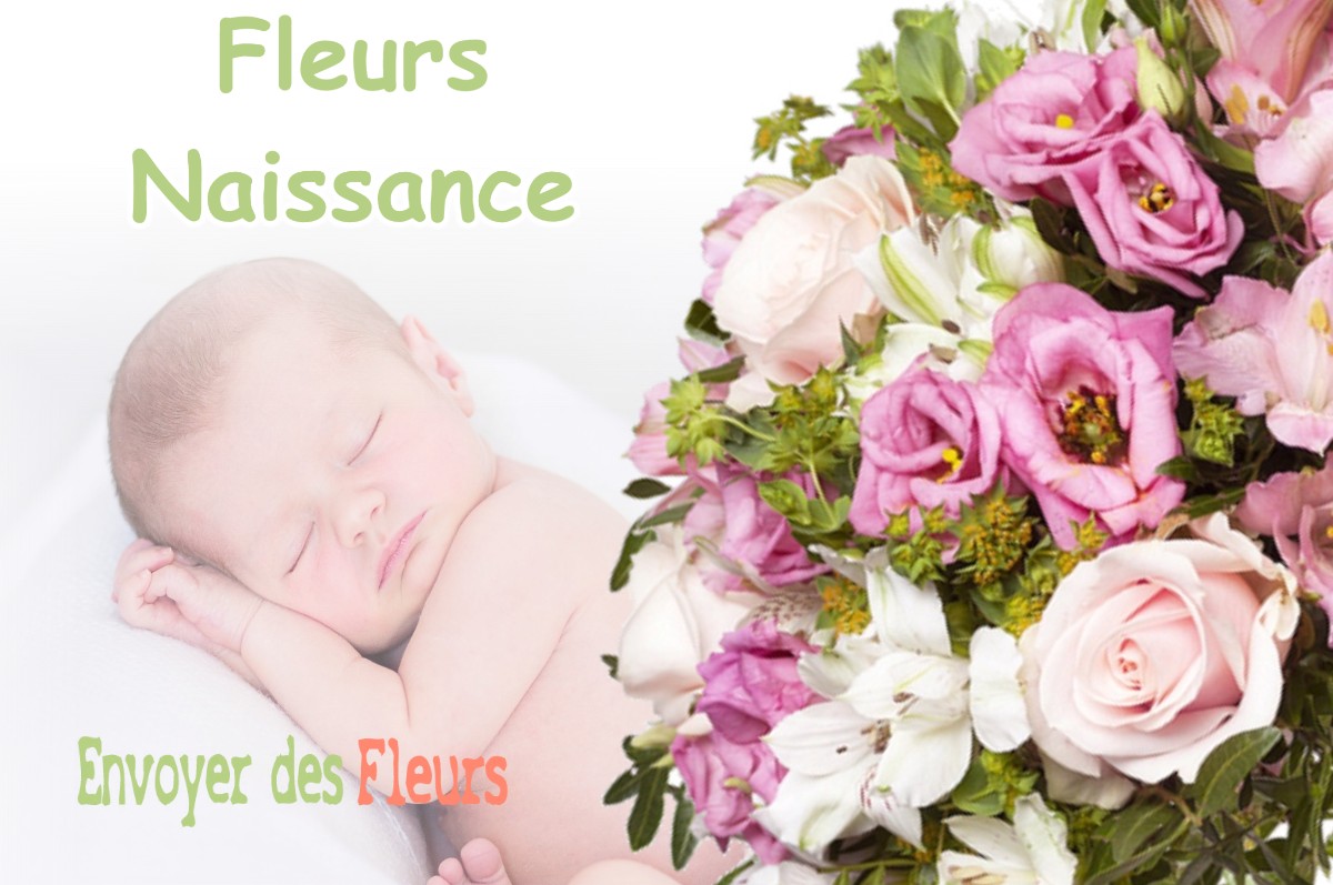 lIVRAISON FLEURS NAISSANCE à BURCIN